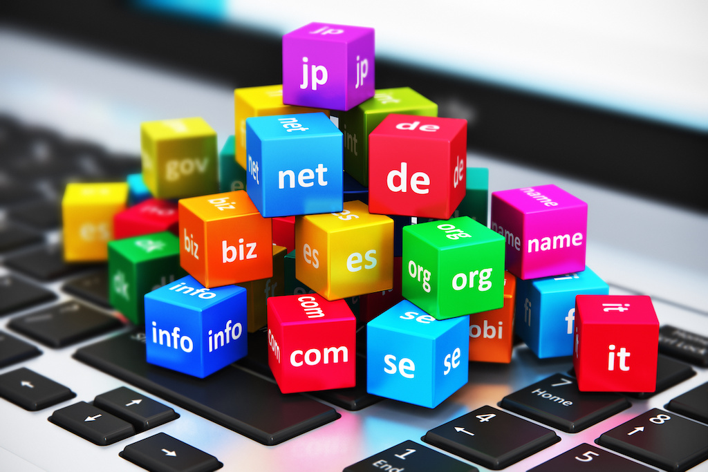 Registrazioni domini e fornitura hosting